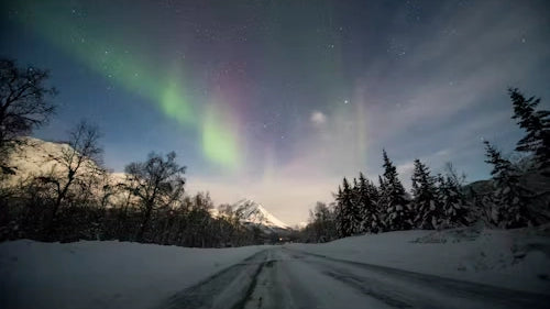 Northern Lights Aesthetic: How to Infuse Your Home with Aurora Vibes_pic1