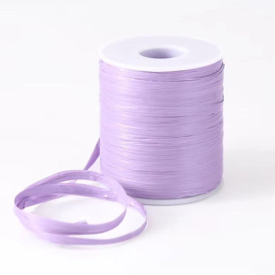 Flat Raffia Yarn for Knitting 50 Grams