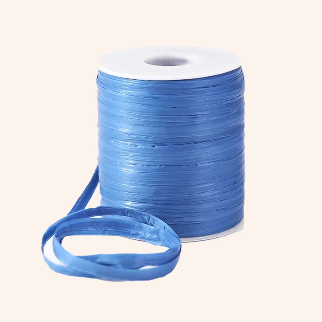 Flat Raffia Yarn for Knitting 50 Grams