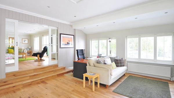 The Timeless Elegance of Moss Rugs: A Perfect Blend of Nature and Style_pic1