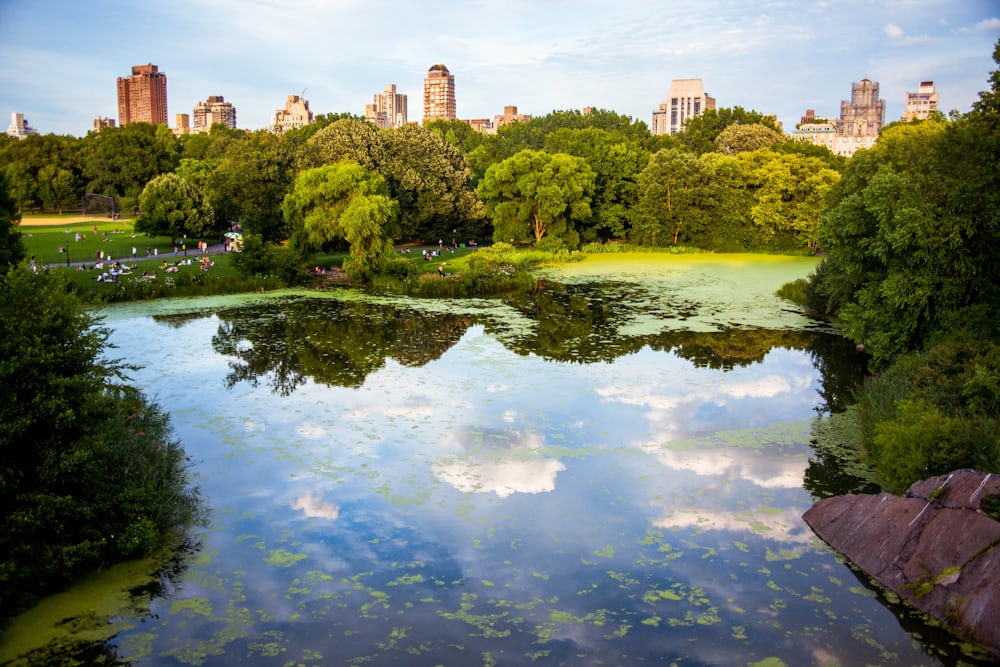 Central Park Featured Rug: A Must-Have New York Souvenir_pic1