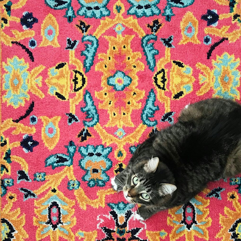 How to Make Your Home an Oasis of Inspiration and Creativity Like Justina Blakeney_pic1