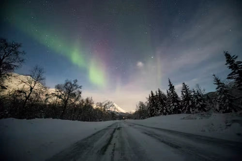 Northern Lights Aesthetic: How to Infuse Your Home with Aurora Vibes_pic1