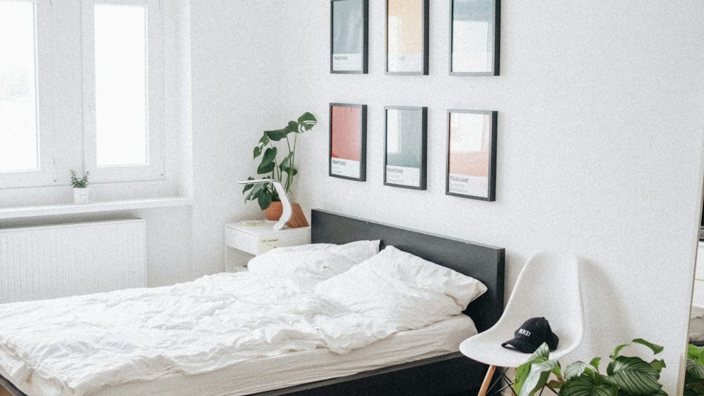 Bedroom Rug Ideas: Cozy Up Your Space_pic1