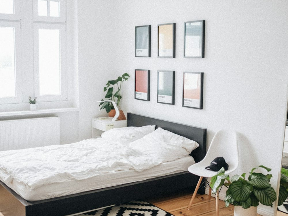Bedroom Rug Ideas: Cozy Up Your Space_pic1