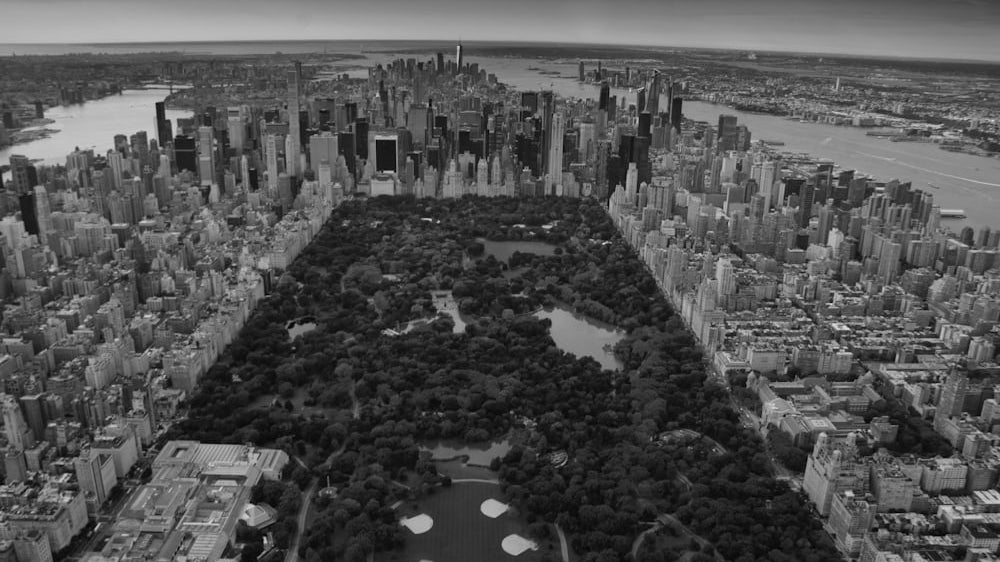 From Central Park to Your Home: Area Rugs Collection_pic1