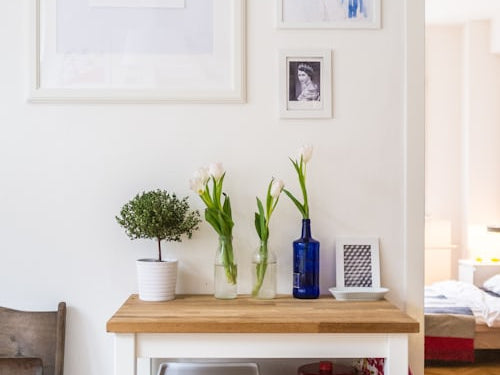 Greenery: Bringing Nature Indoors_pic1