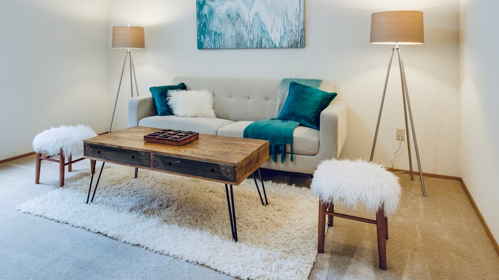 Enhancing Your Home's Comfort with High-Quality Rugs_pic1