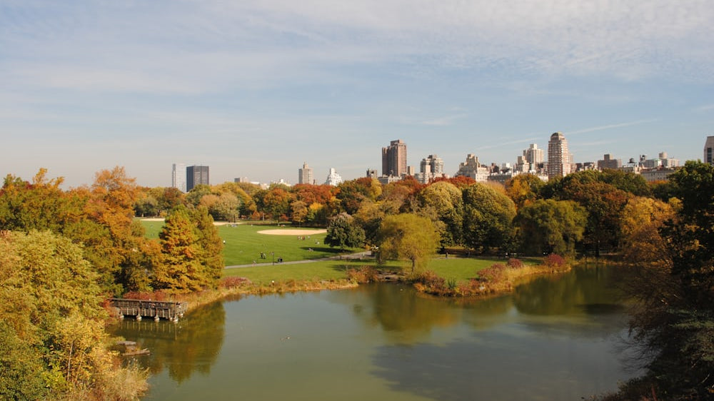 Elevating your interior design with a Central Park area rug_pic1