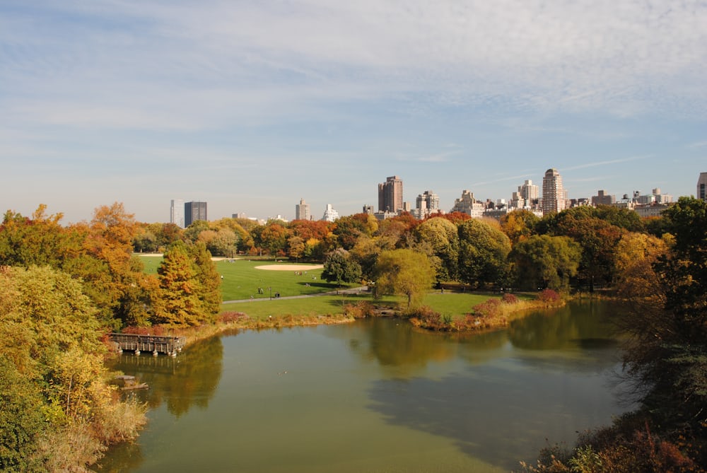 Preserving Central Park Memories with Featured Rugs_pic1