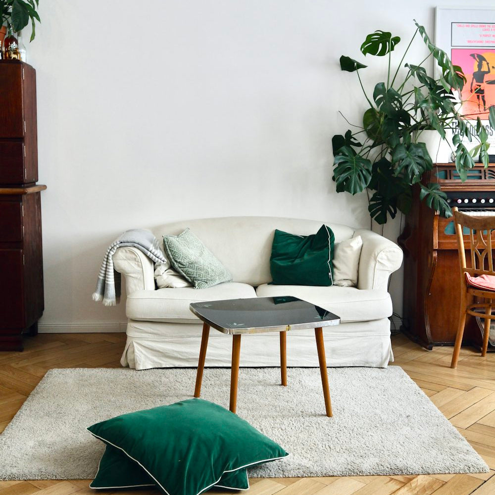 Stylish Living Room Rugs to Anchor Your Space_pic1