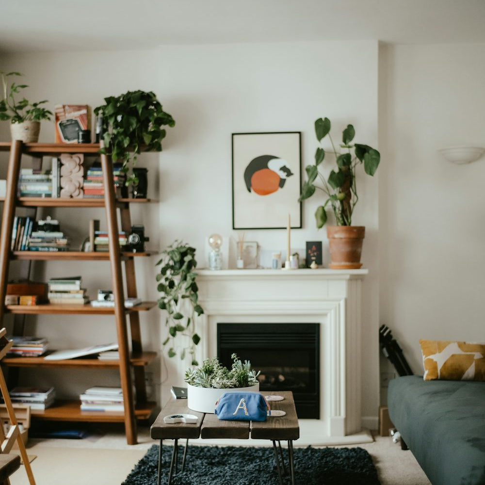How Rug Design Can Transform a Room_pic1