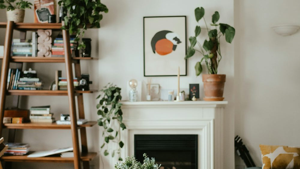 How Rug Design Can Transform a Room_pic1