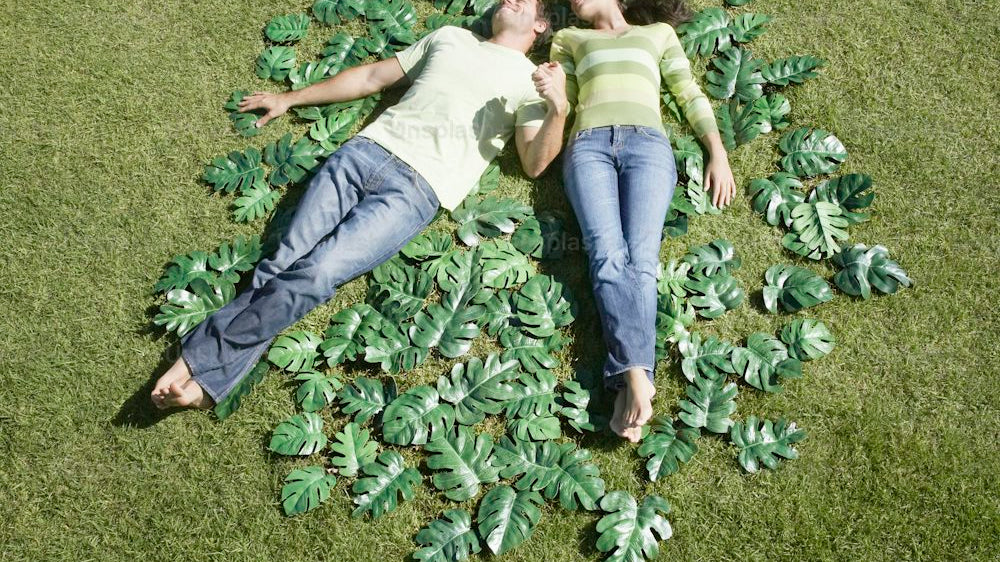 The Appeal of Sage Green Carpets in Home Interiors_pic1