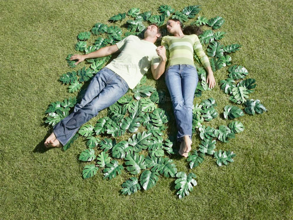 The Appeal of Sage Green Carpets in Home Interiors_pic1