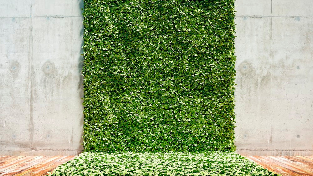 Creating a Cozy Atmosphere with Sage Green Carpets_pic1