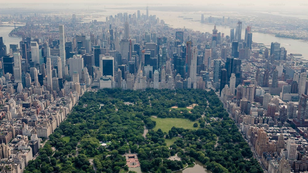 Bringing Central Park Vibe into Your Home with Area Rugs_pic1