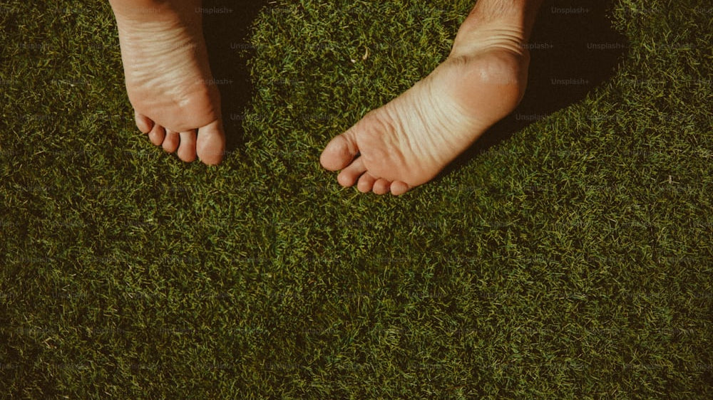 Forest Green Rugs: A Bold Statement in Home Decor_pic1