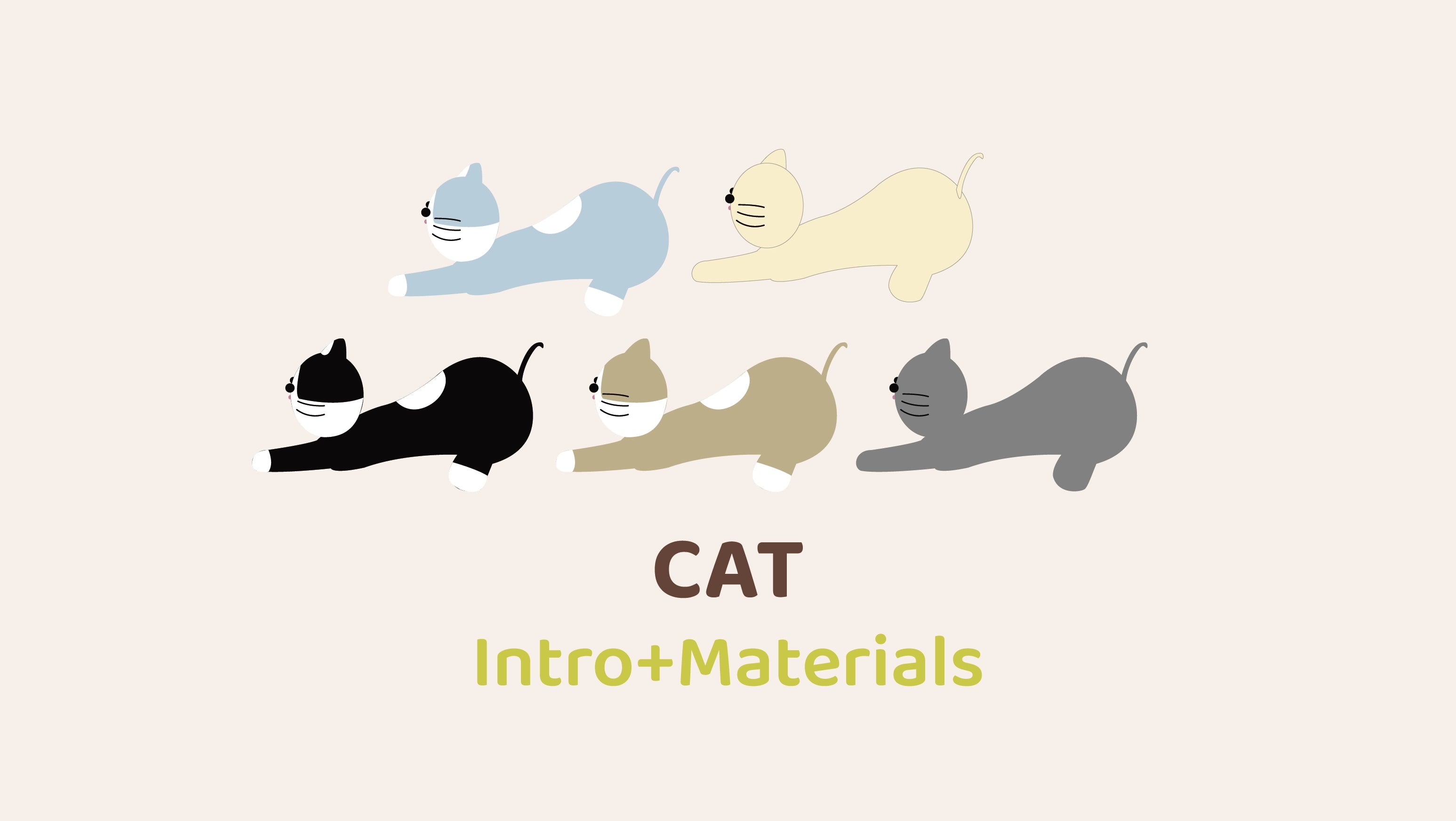 Yoga Cat Intro