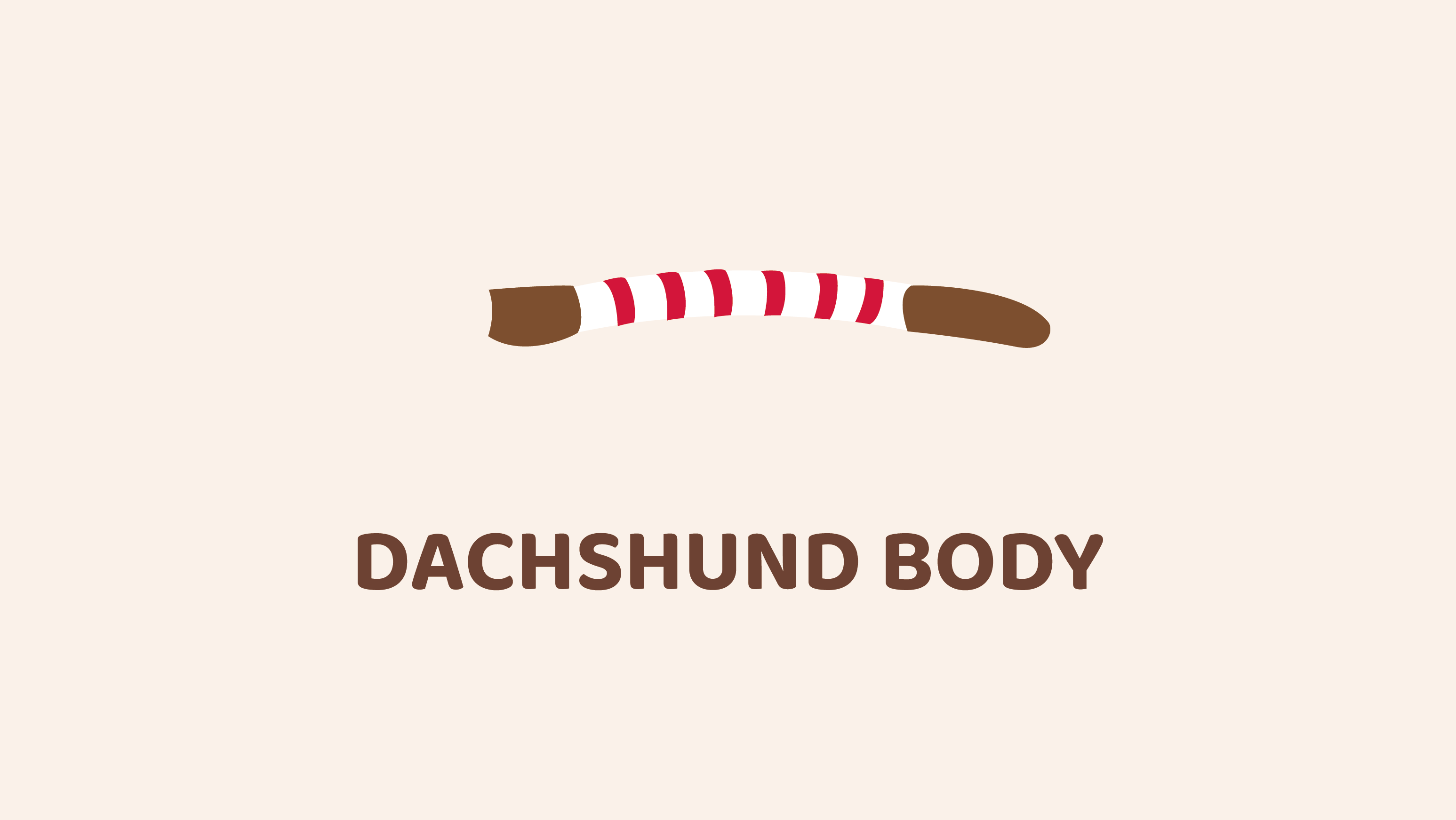 Dachshund Body