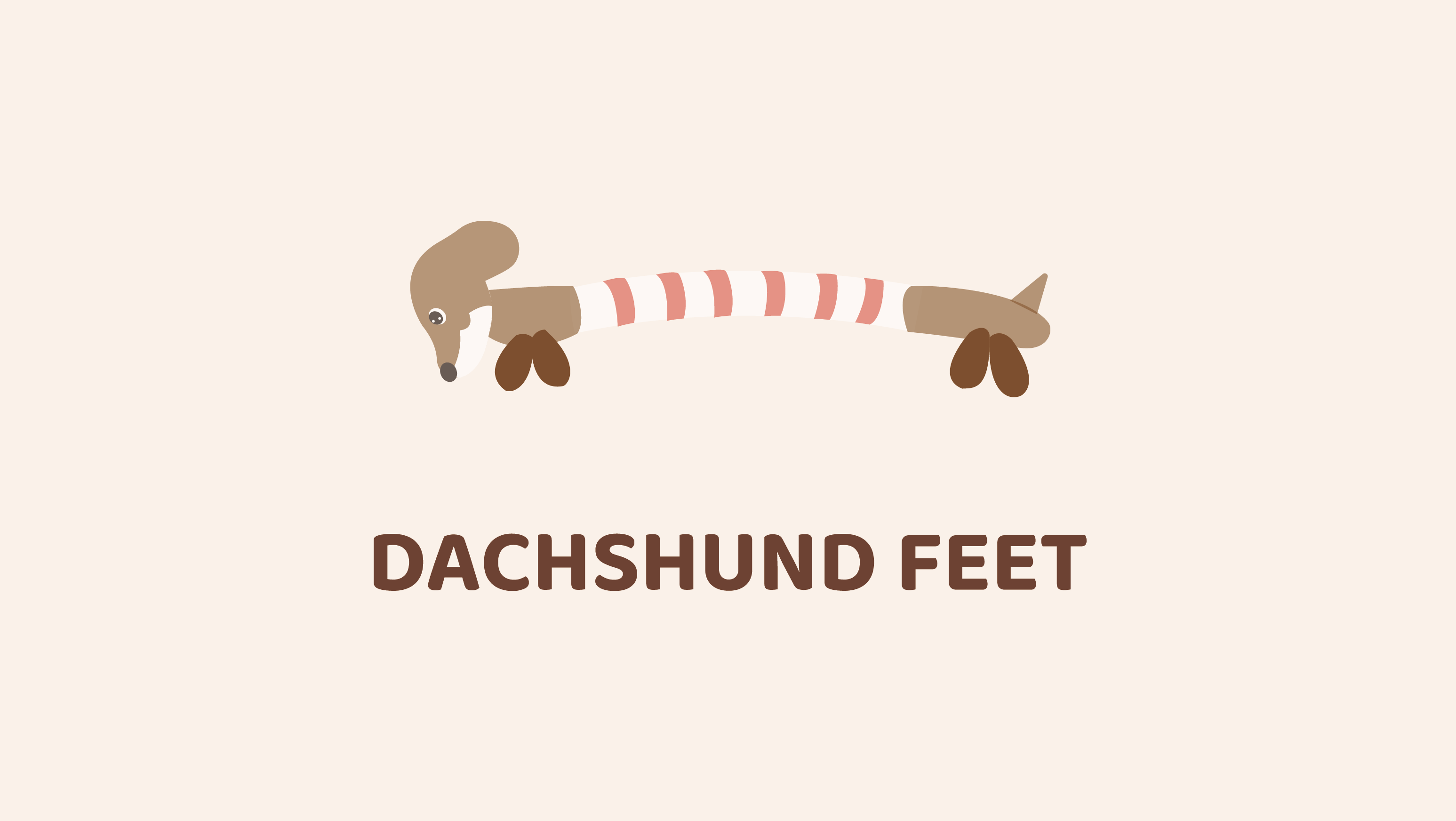 Dachshund Feet