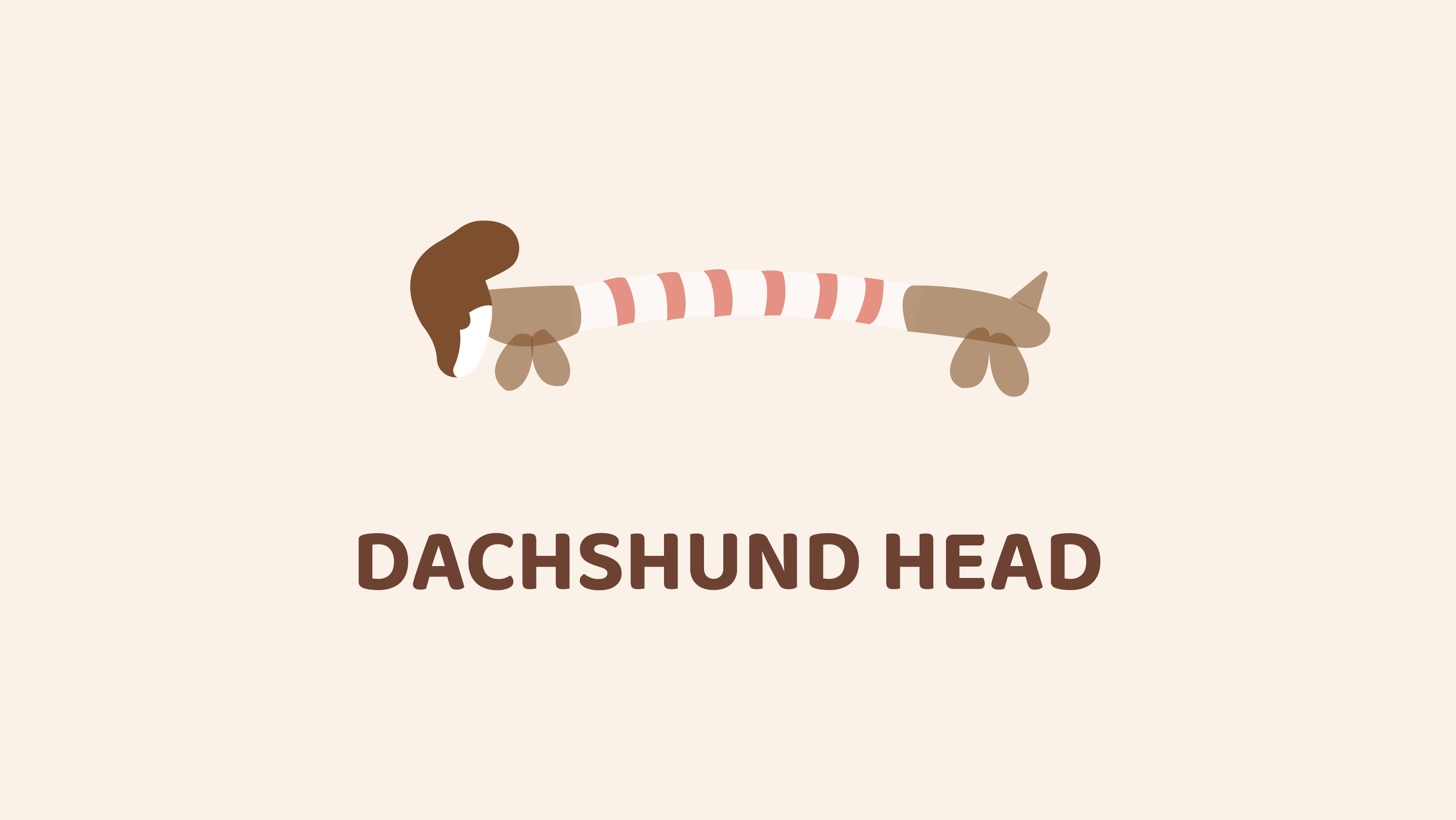 Dachshund Head