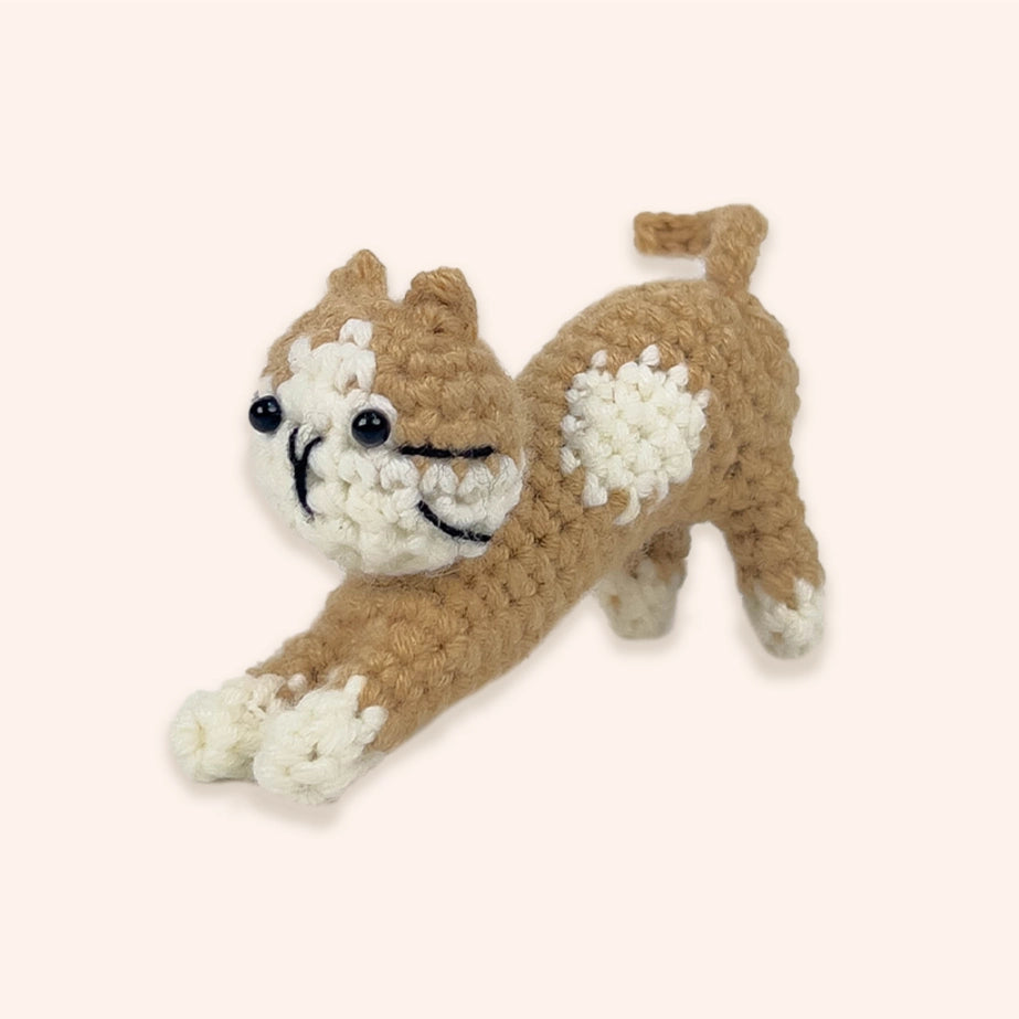 Bundle - Yoga Cat Crochet Kit Set of 5