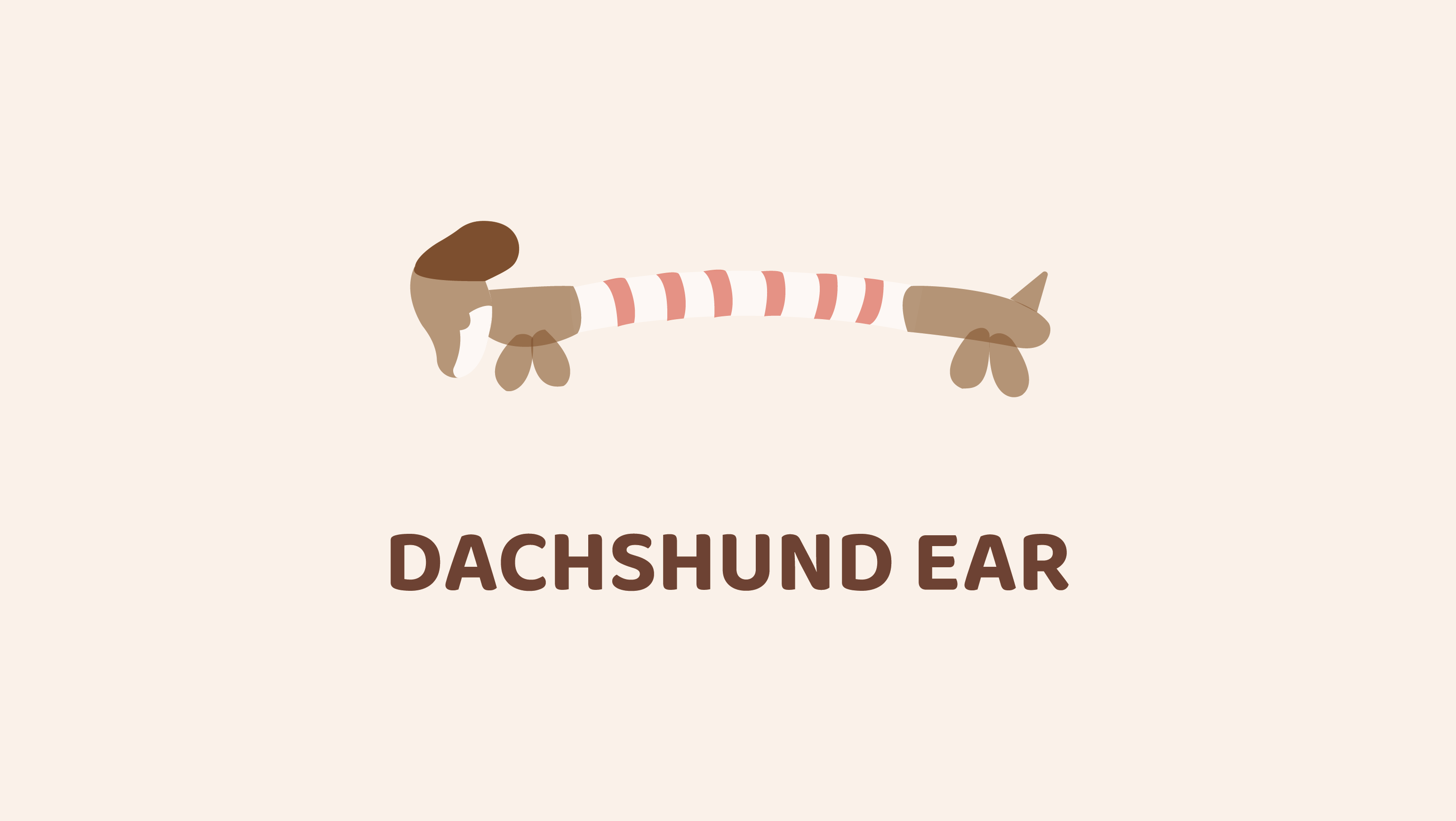 Dachshund Ear