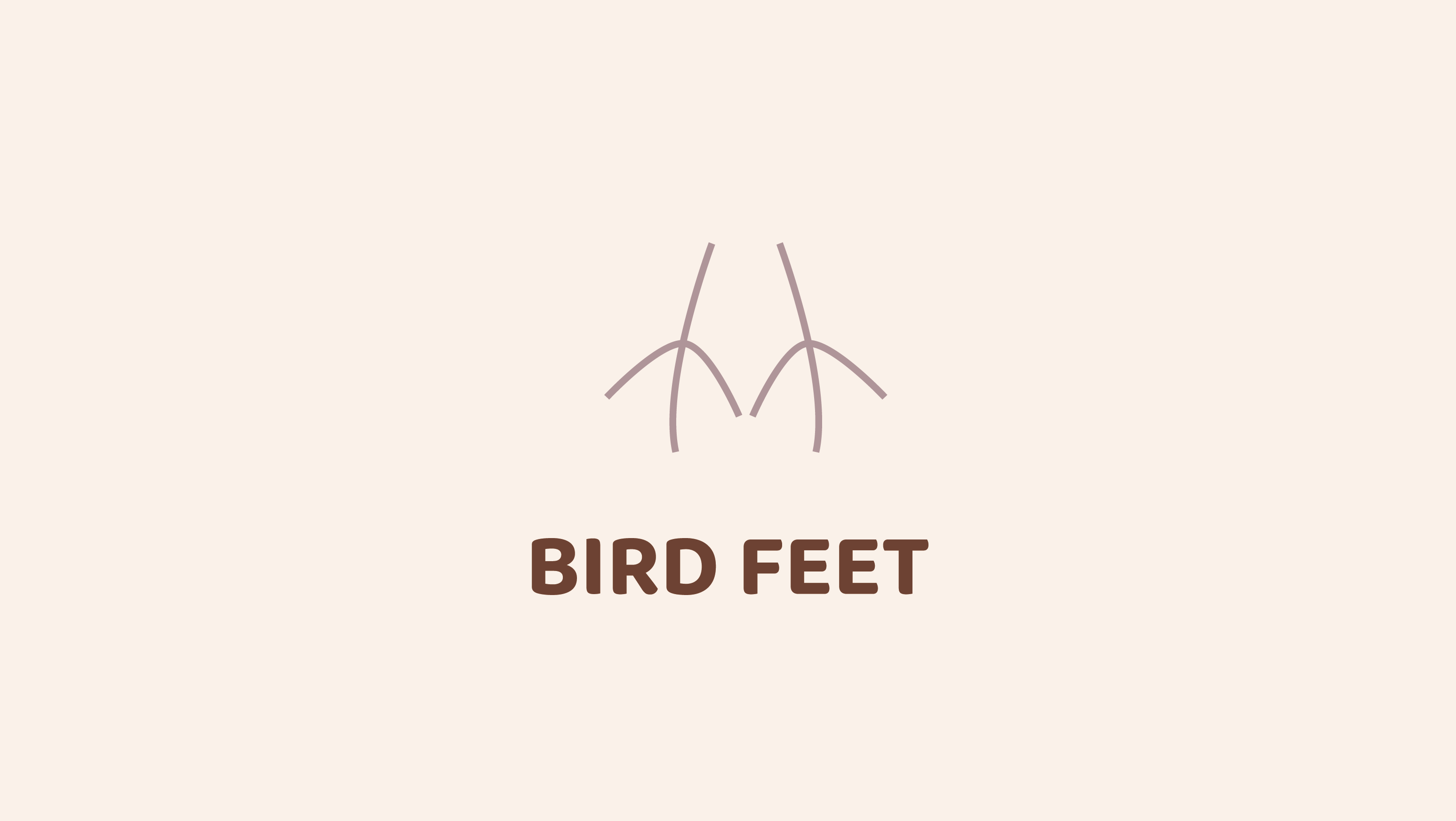 Bird Feet