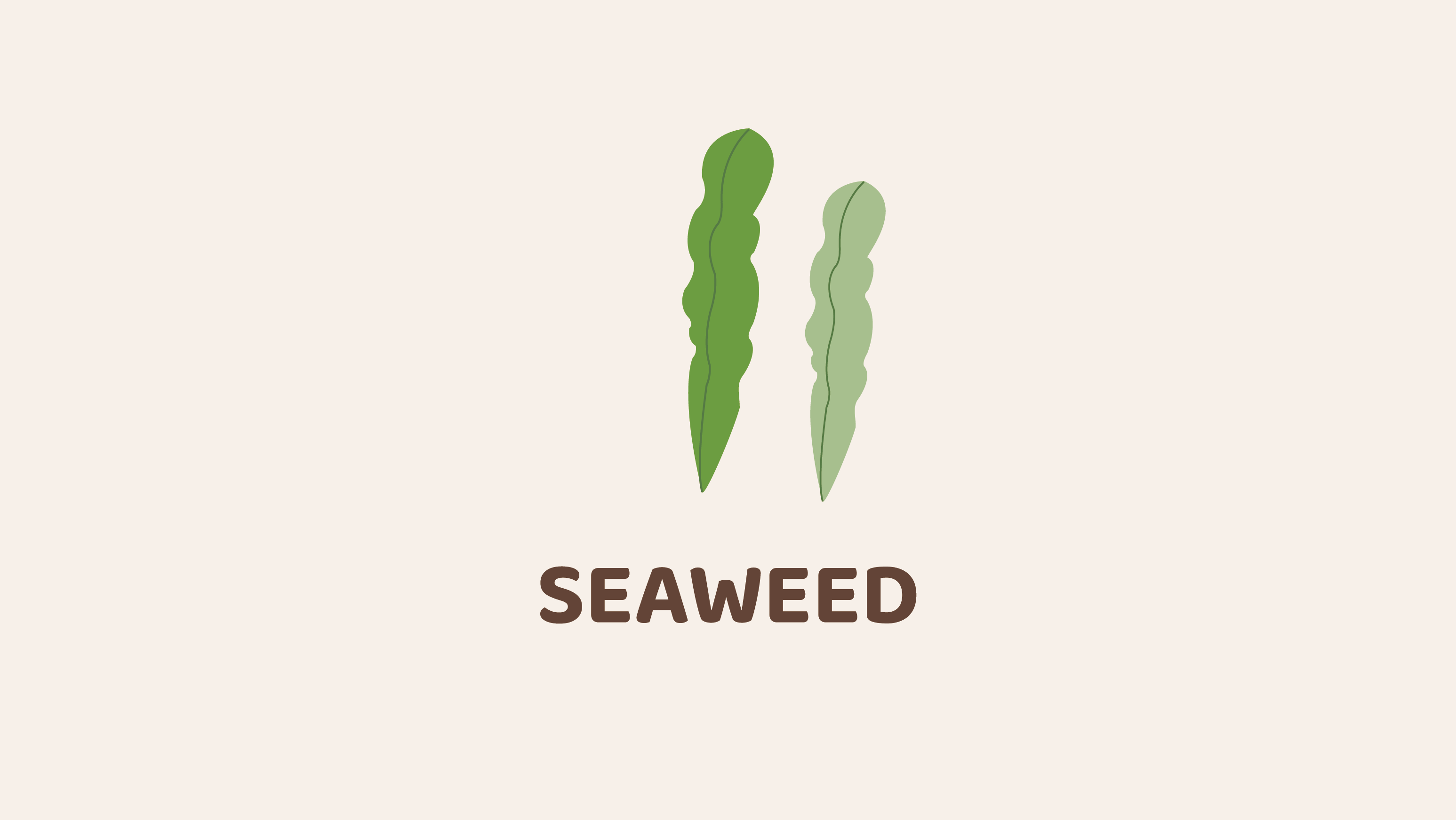 Seaweed