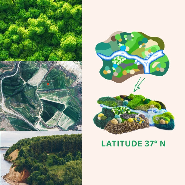 Artisan-Made - Latitude 37°N Rug