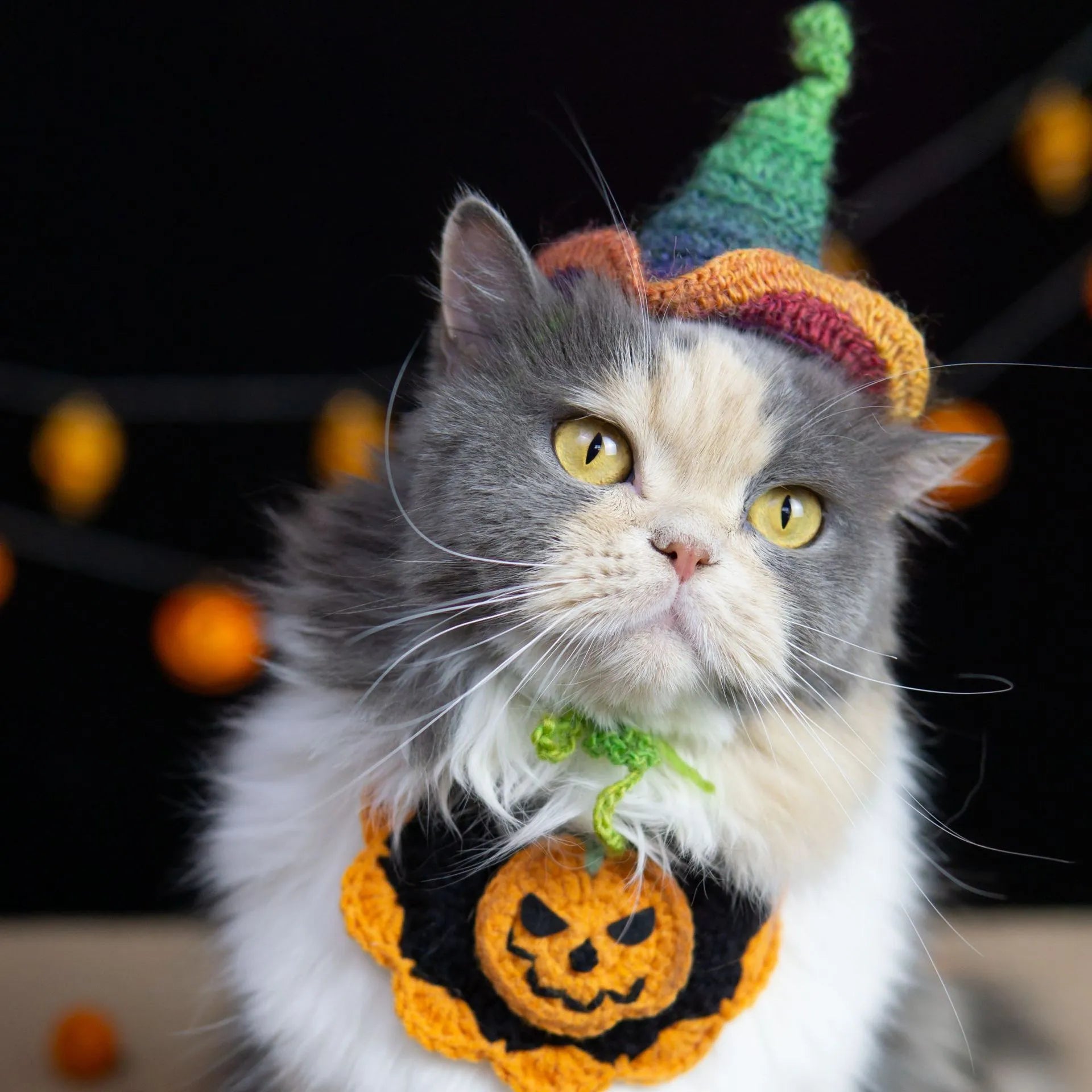 Artisan-Made -  Pets Costume Pumpkin Collar