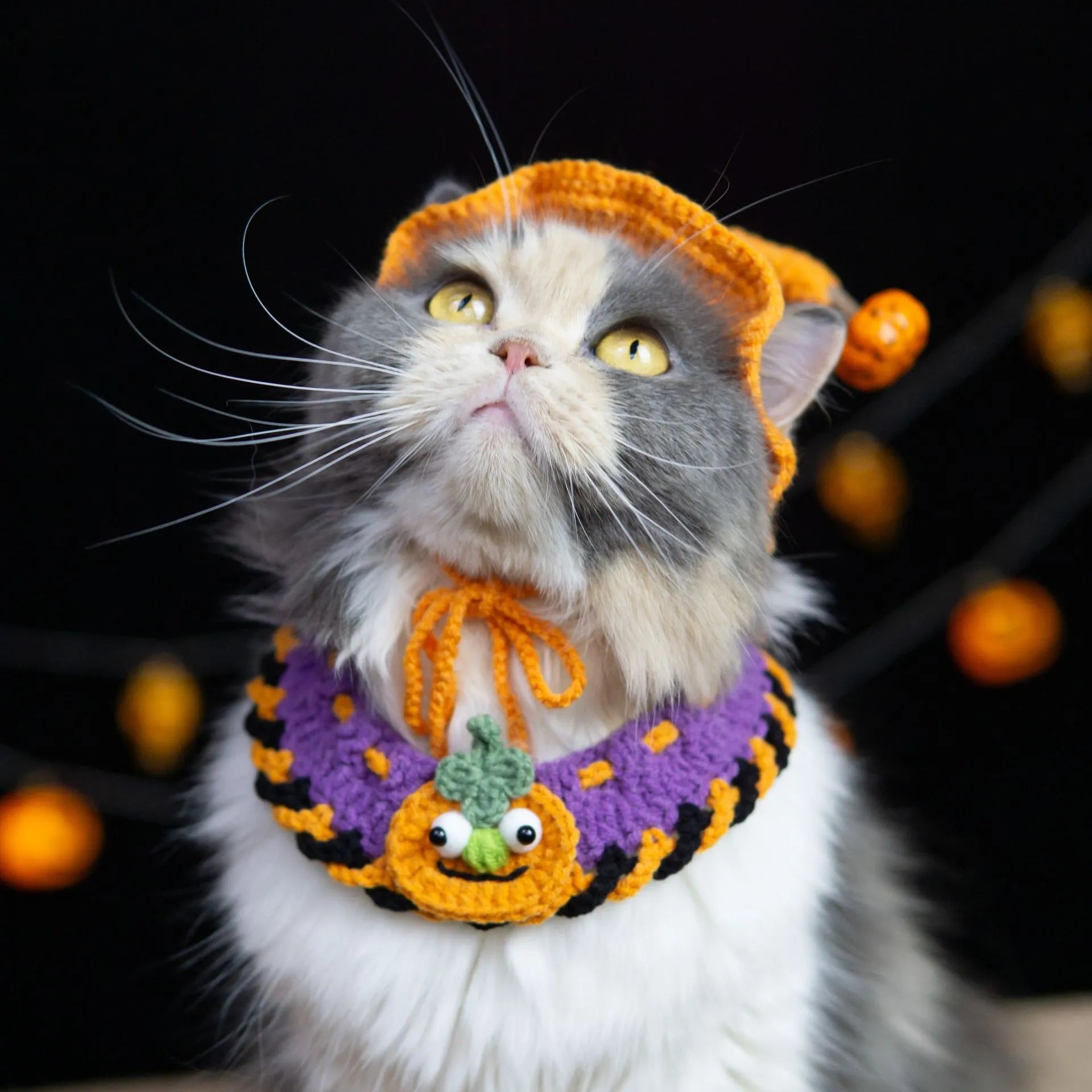 Artisan-Made -  Pets Costume Pumpkin Collar