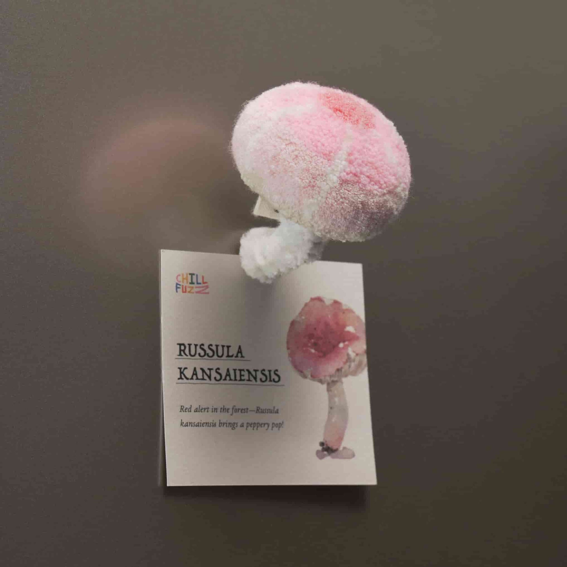 Artisan-Made -  Mushroom Magnet Sets