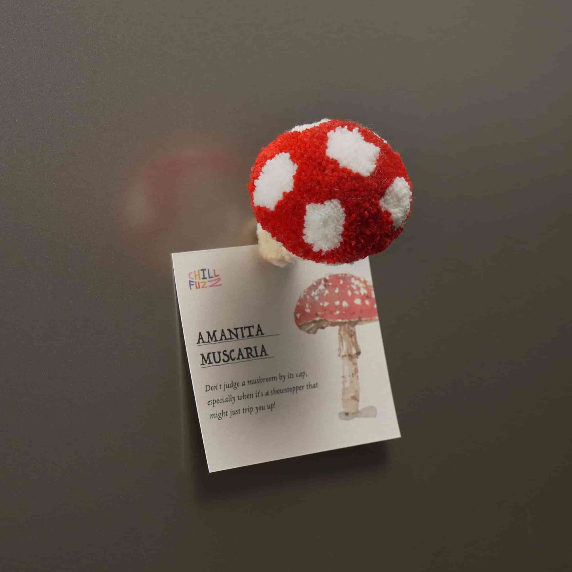 Artisan-Made -  Mushroom Magnet Sets