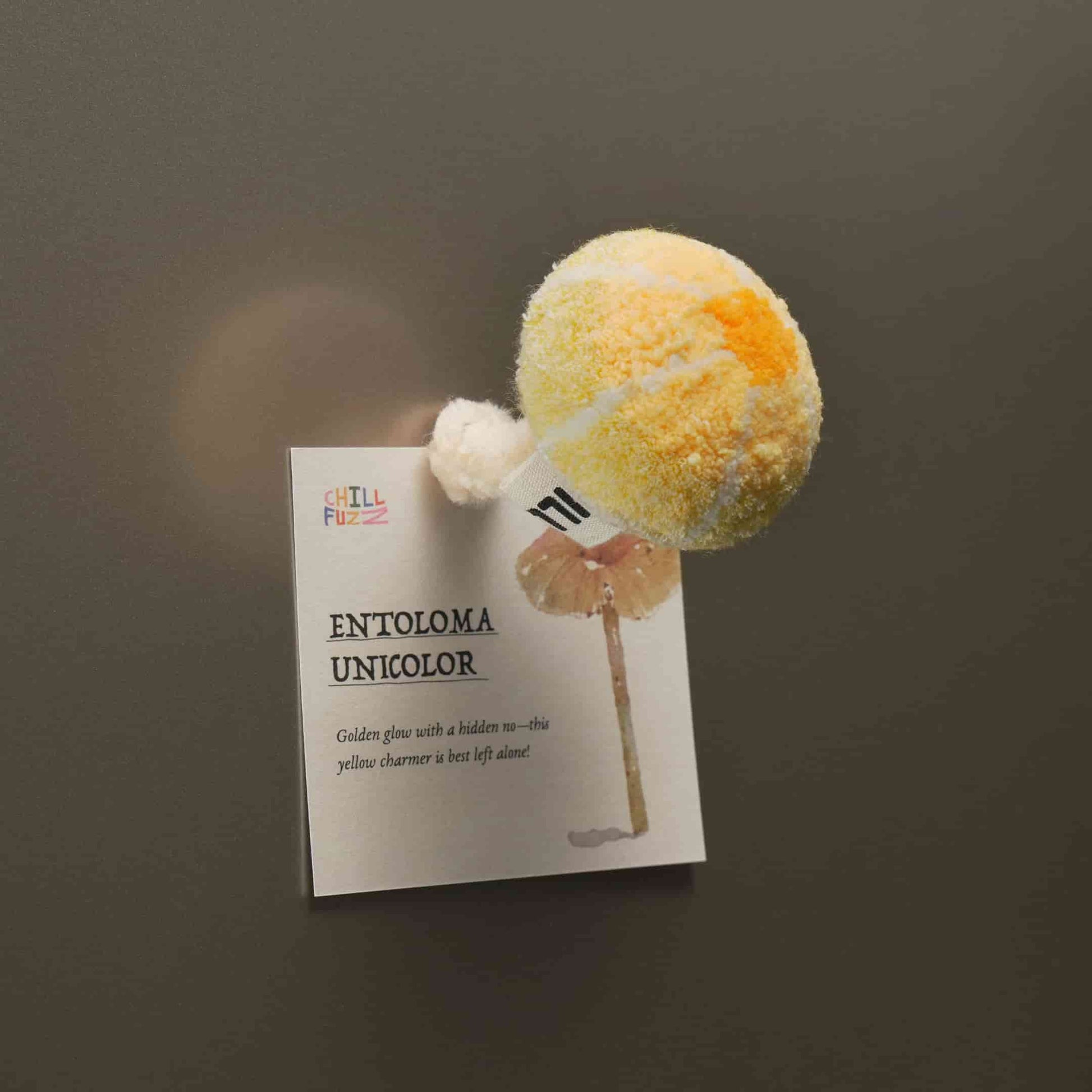 Artisan-Made -  Mushroom Magnet Sets