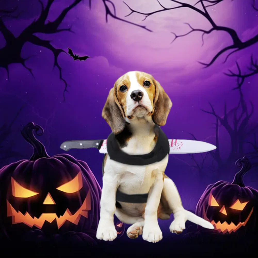 Halloween Special - Special Design Pets Costume