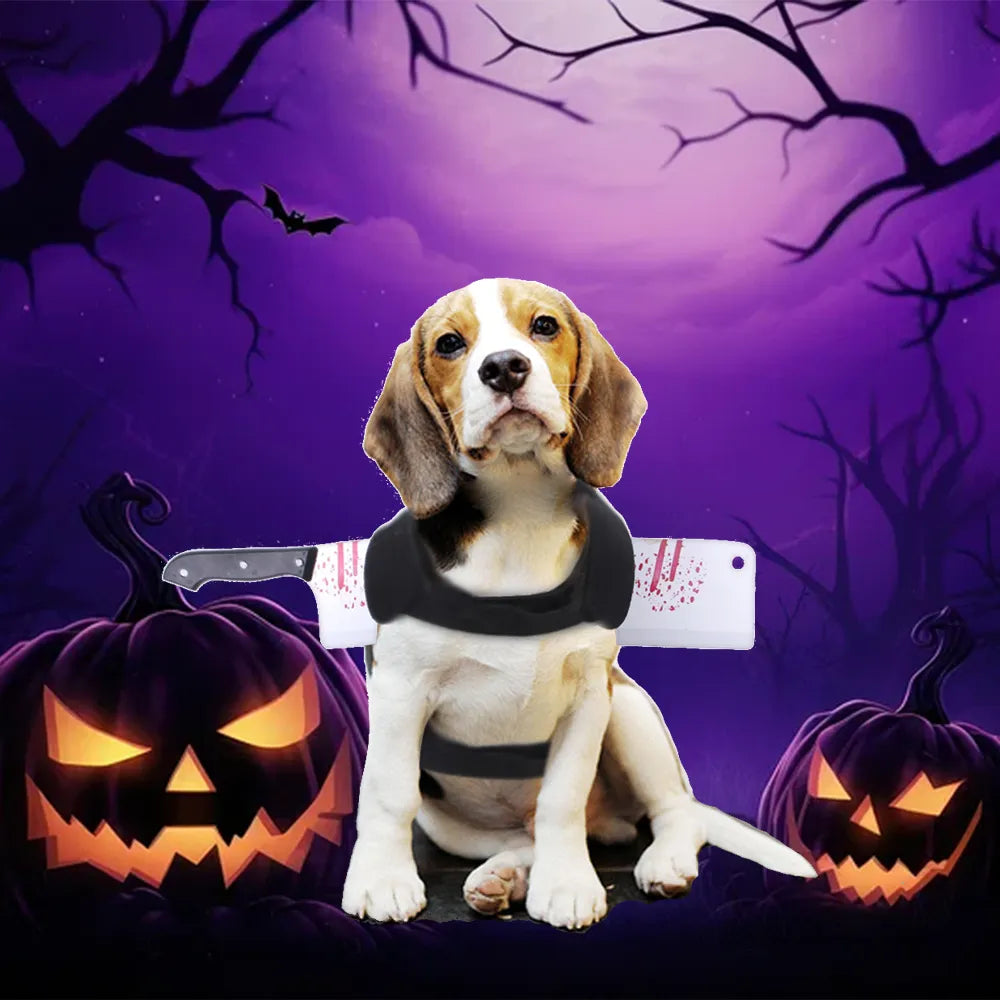 Halloween Special - Special Design Pets Costume