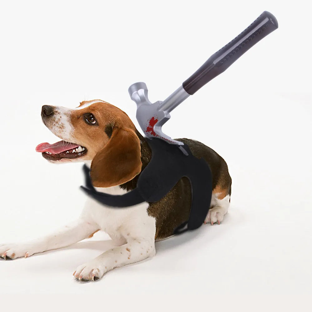 Halloween Special - Special Design Pets Costume