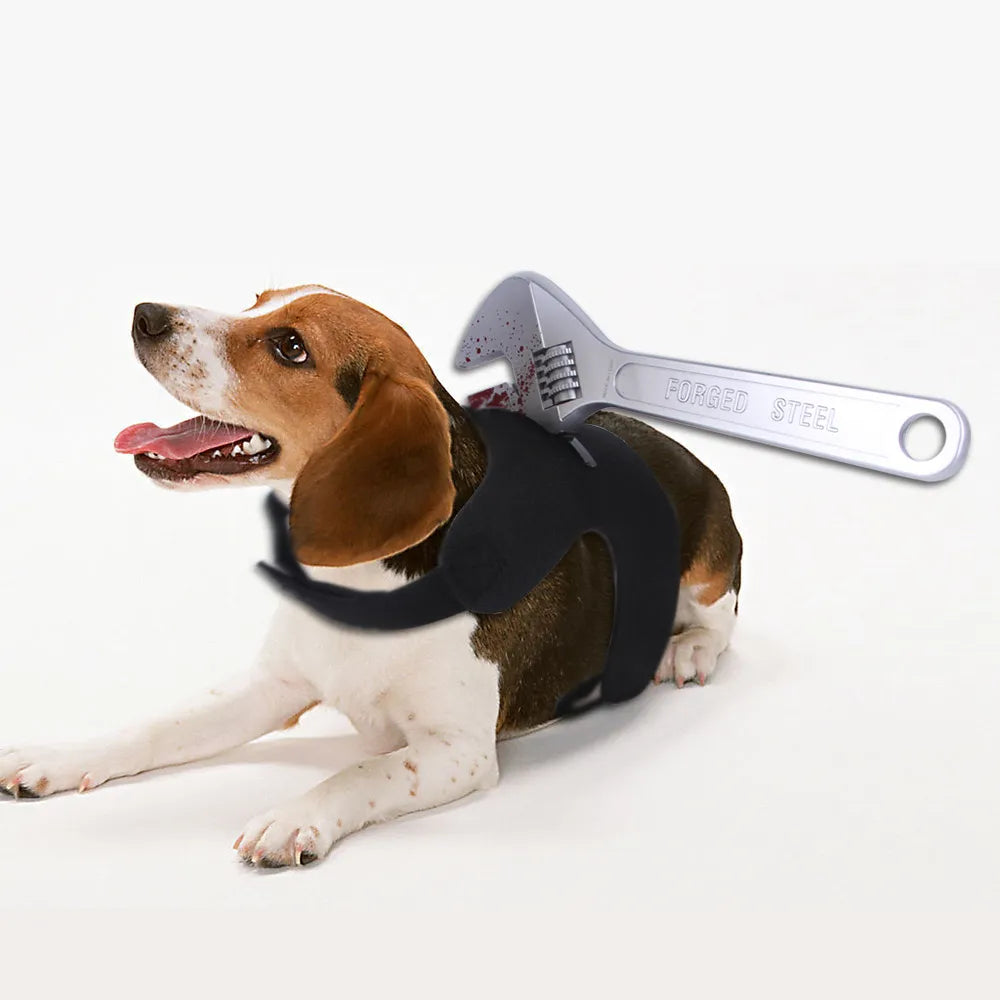 Halloween Special - Special Design Pets Costume