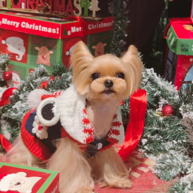 Crochet Kit - Handmade Crocheting Material Kit for Dog's Christmas Sweater