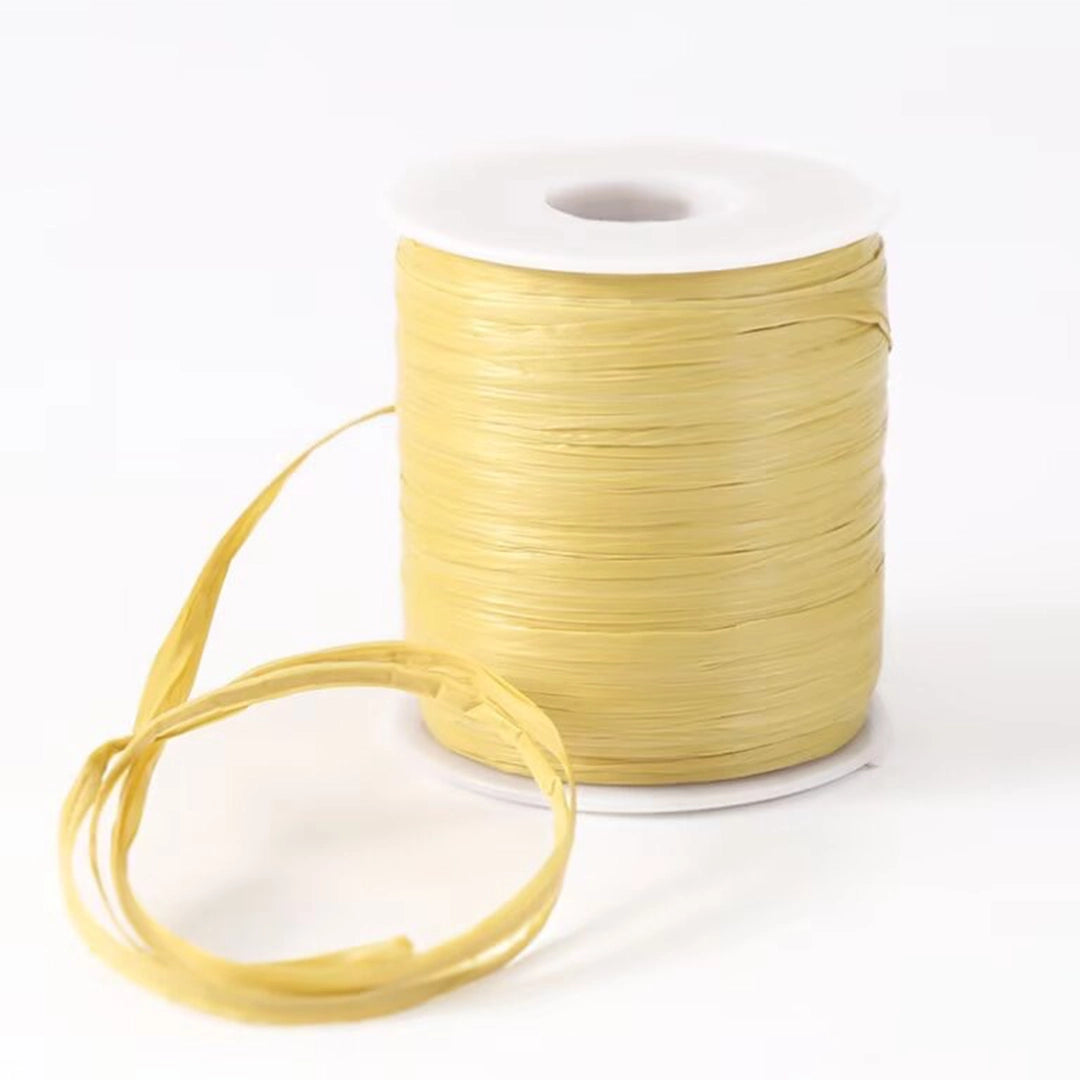 Flat Raffia Yarn for Knitting 50 Grams
