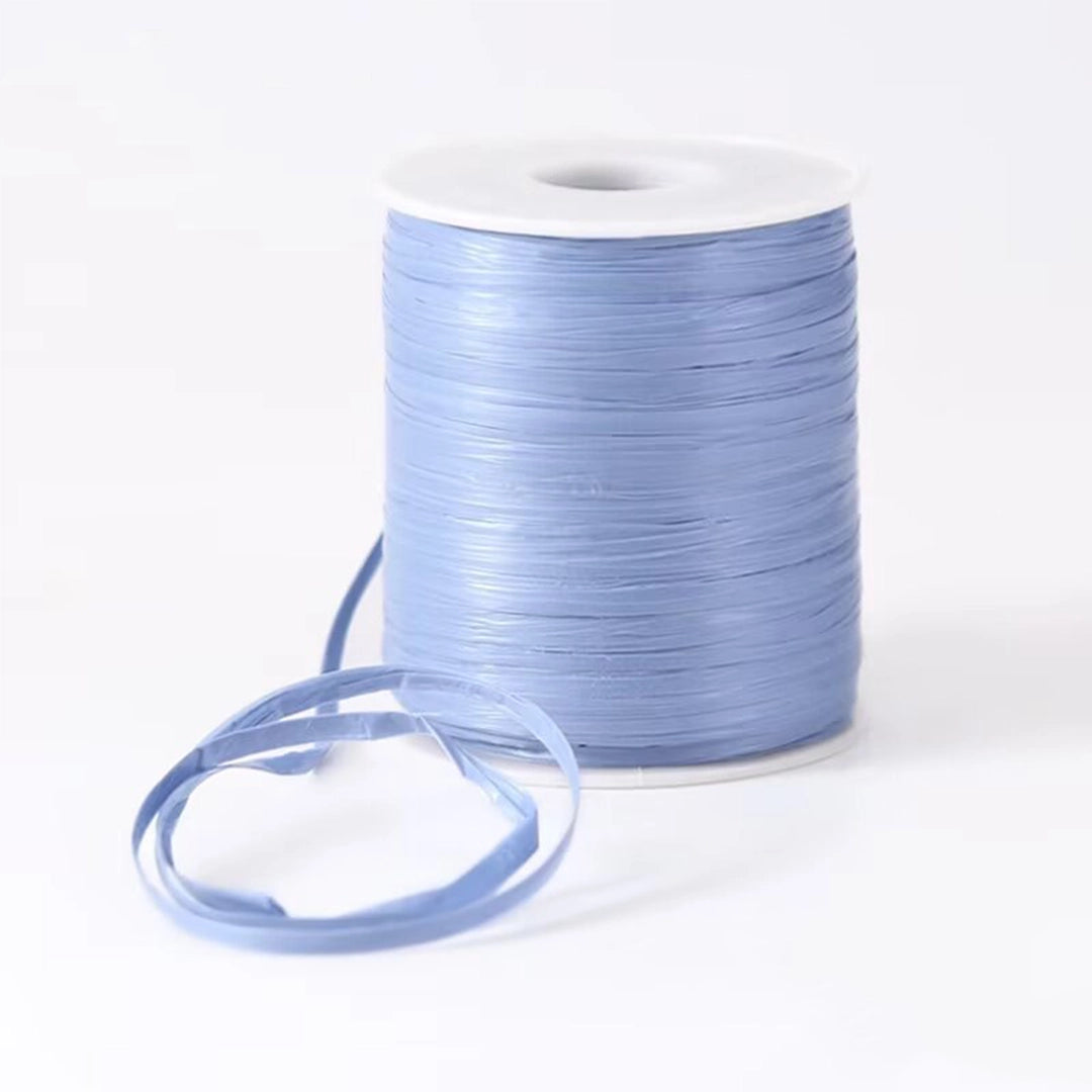 Flat Raffia Yarn for Knitting 50 Grams