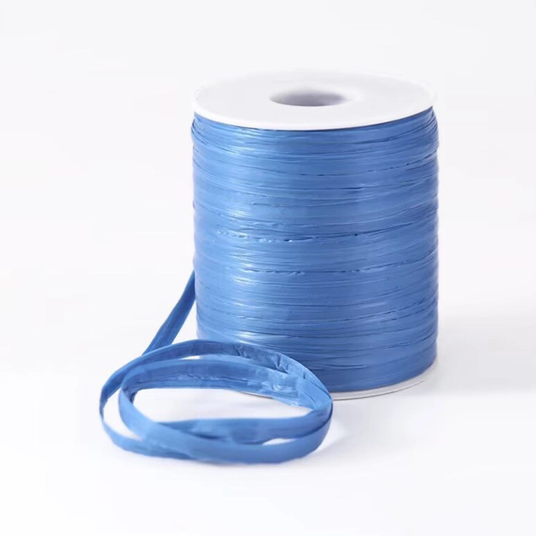 Flat Raffia Yarn for Knitting 50 Grams