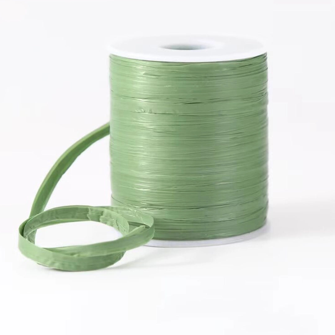Flat Raffia Yarn for Knitting 50 Grams