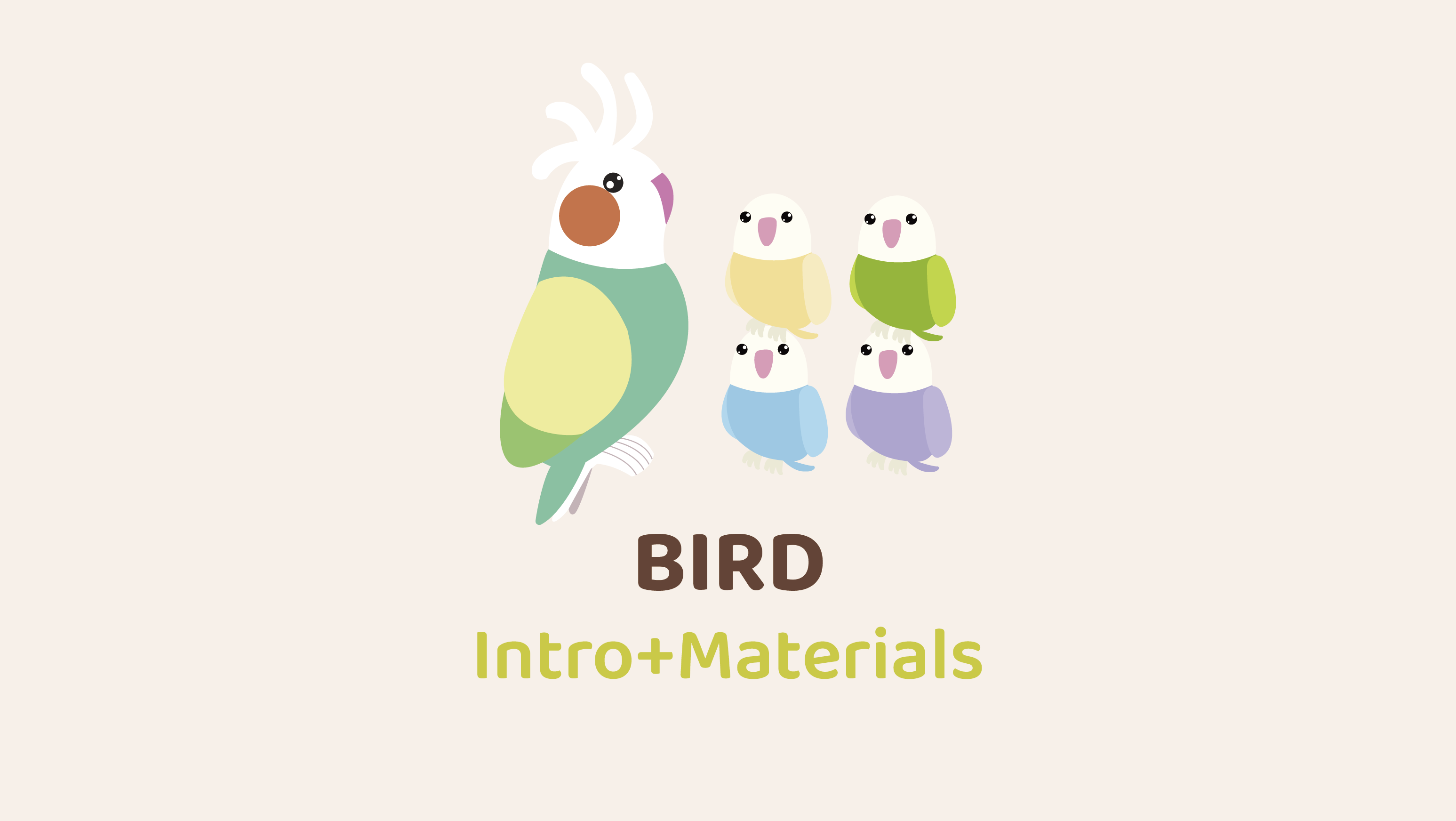 Bird Intro+Materials